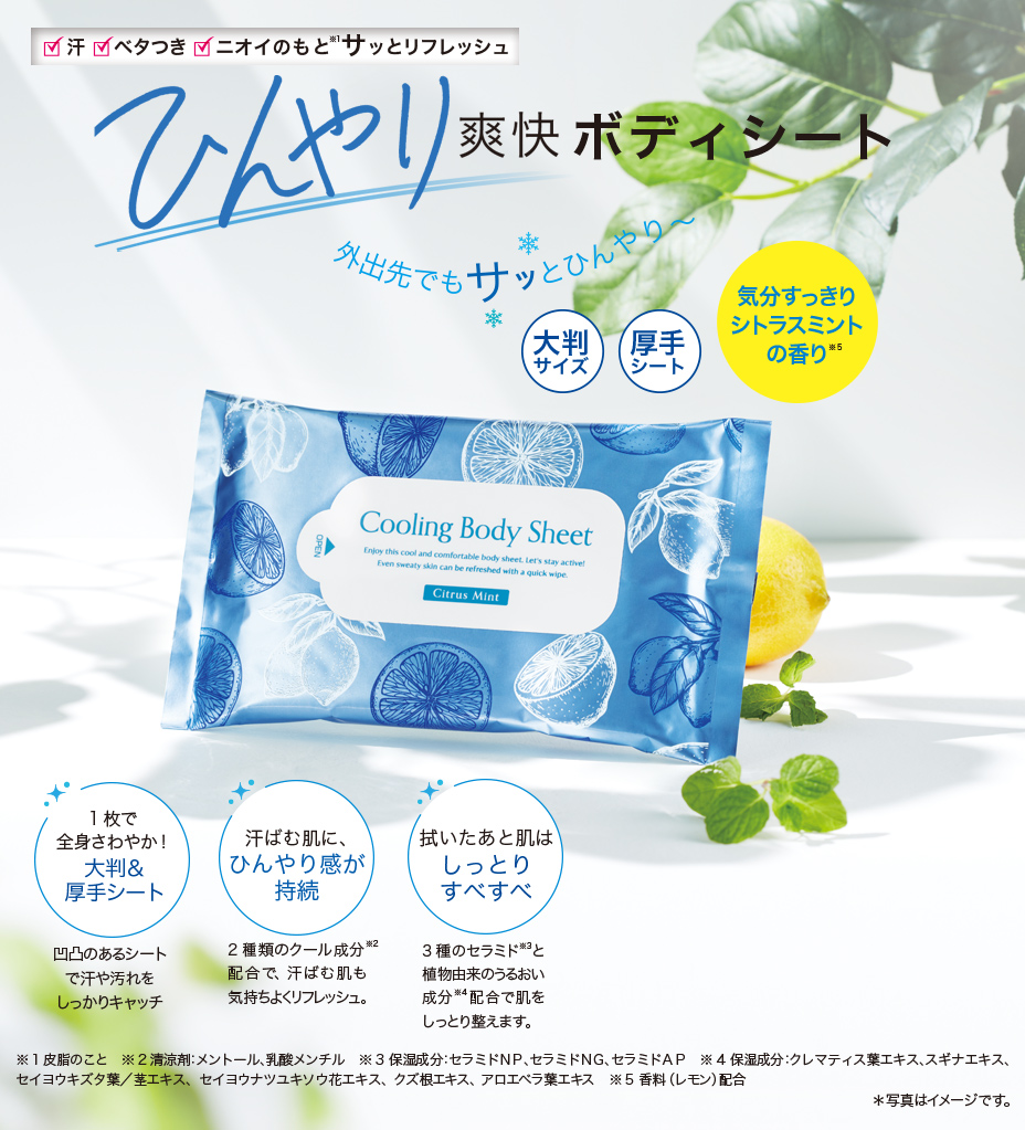 シトラスミント出品ページ　6枚組み クーリング ボディシート シトラスミントの香り │ エフエムジー