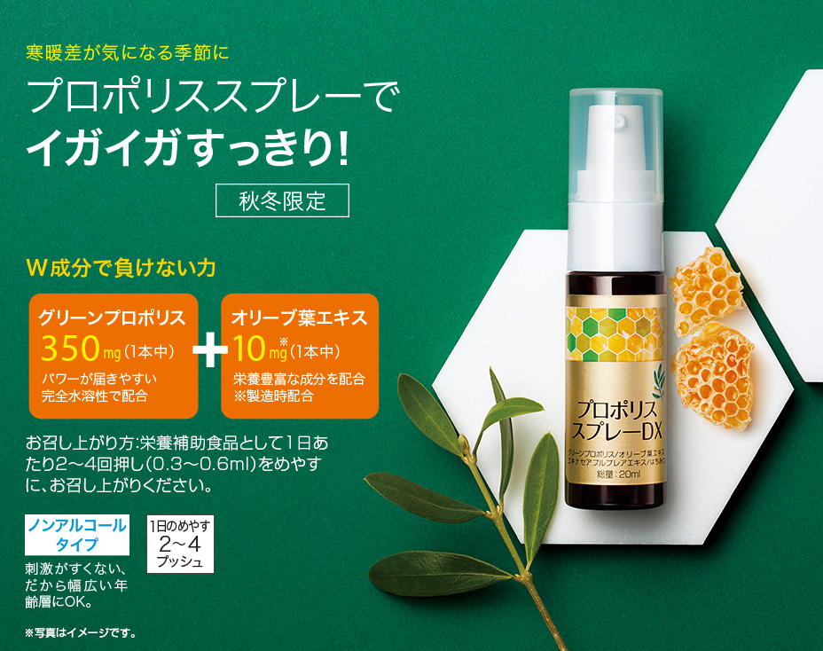 グリーンプロポリス 5本 濃度80% 30ml 期限29/2/5 ポレネクター社 グリーンプロポリス 5本 濃度80% 30ml 期限27/08 ポレネクター社